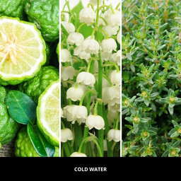 Millefiori Milano Uzupełniacz do lampy katalitycznej Cold Water