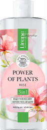 Lirene - POWER OF PLANTS - ROSE -