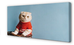 Obraz na płótnie Siedzący kot