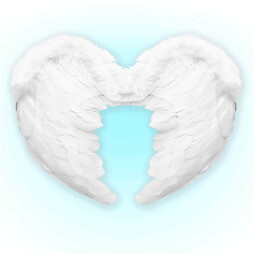 Skrzydła anioła z białymi piórami i futerkiem -