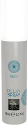 HOT Shiatsu Delay - opóźniający spray do ejakulacji