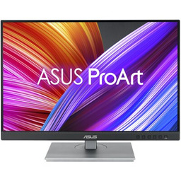 Monitor 24 cale PA248CNV