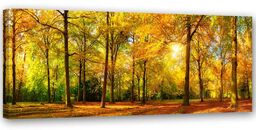 Obraz na płótnie, Złoty las 1-częściowy 150x50