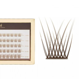 Many Beauty - Many Lashes - Mini Box