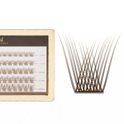 Many Beauty - Many Lashes - Mini Box
