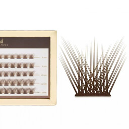 Many Beauty - Many Lashes - Mini Box
