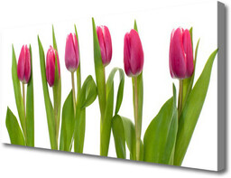 Obraz Canvas Tulipany Kwiaty Roślina