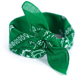 Bandana Classic Rebel