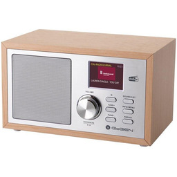 GoGEN DAB620BTCS
