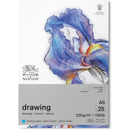 Winsor & Newton 6689746 papier rysunkowy w bloku