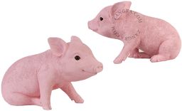 Zangra Piggy Bank Skarbonka