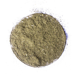 Estragon mielony 1kg