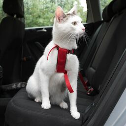 Trixie szelki samochodowe dla kota - Czerwone
