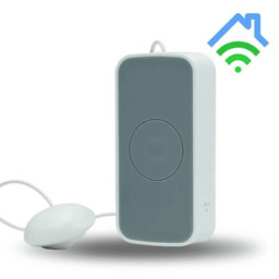 Czujnik zalania FERGUSON FS2WL