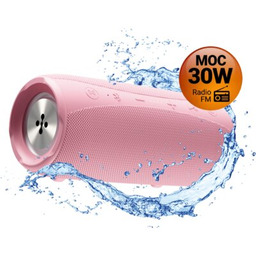 XMUSIC Głośnik mobilny BTS850P Bluetooth 5.0, 30W, IPX6,