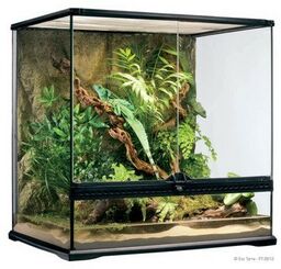 EXOTERRA Terrarium szklane MEDIUM 60x45x30cm