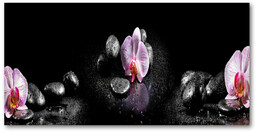Foto obraz szkło hartowane Orchidea