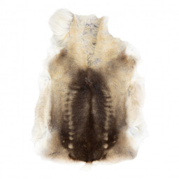 Dywan RENIFER - naturalna skóra, dekoracyjna, narzuta -
