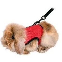 Trixie Miękkie Szelki Ze Smyczą