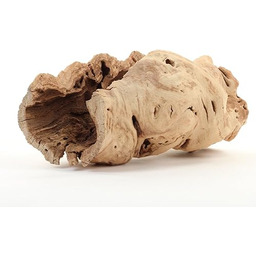 Koyal Wholesale Wydrążona gałąź drzewa winogronowego 25 cm,