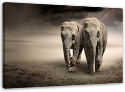 Obraz na płótnie, Słonie na pustyni 60x40