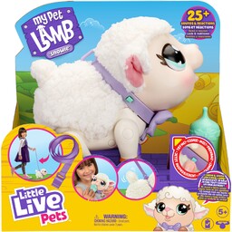 Little Live Pets Interaktywna Owieczka Dźwięk Owca Chodzi