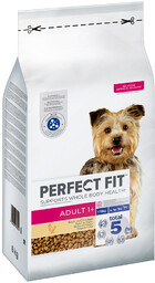 Perfect Fit Adult Small Dogs (
