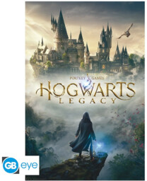 Plakat Harry Potter - Hogwarts Legacy (Dziedzictwo Hogwartu)