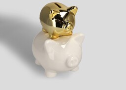 Skarbonka Theirmoney
