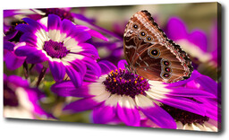 Foto obraz na płótnie Motyl na kwiatku