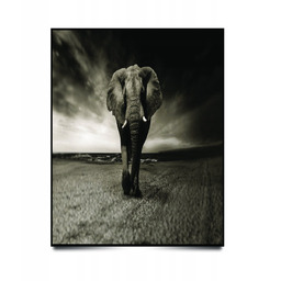 PUZZLE Pejzaż Krajobraz Afryka Słoń A3 252 el