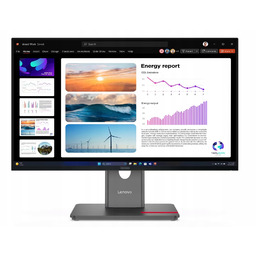 Monitor Lenovo ThinkVision P24q-40 23,8"/WQHD IPS/120 Hz/HDMI/DP/USB/PIVOT