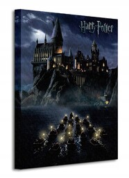 Harry Potter Hogwarts School Obraz płótno 40x50 cm