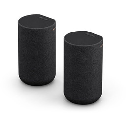 Sony SA-RS5 bezprzewodowe głośniki o mocy 180