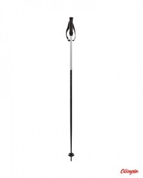 Völkl Kije narciarskie Volkl PHANTASTICK III black