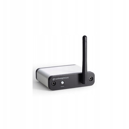 Audioengine B-fi Muzyczny streamer multiroom Wifi