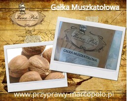 Gałka Muszkatołowa Orzech 20g