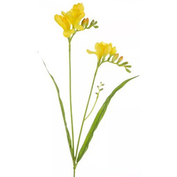 EUROFIRANY Kwiat dekoracyjny Natu 340 60 cm Żółty