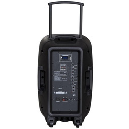 Głośnik przenośny Blaupunkt PA12 (kolor czarny)