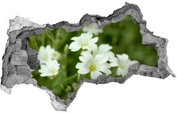 Samoprzylepna naklejka na ścianę Wiosenne kwiaty