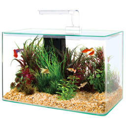 Zestaw akwarystyczny AQUA CLEAR 400 x 200 x