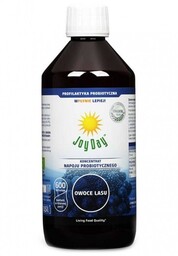 Eko Koncentrat Napoju Probiotycznego Owoce Lasu, Intenson, 500ml