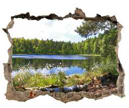 naklejka fototapeta 3D na ścianę Leśna panorama