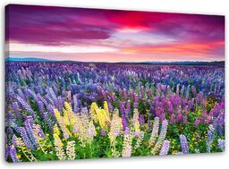 Obraz, Łąka w kwiatach 60x40