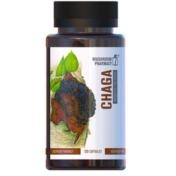 Czarna Huba Brzozowa (Inonotus obliquus), 120 kapsułek