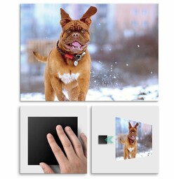 Plakat metalowy mastiff i zabawy zimowe L