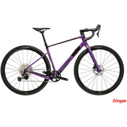 Kross Rower Esker ADV 1.0 fioletowy