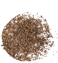 Pietruszka nasiona 1kg