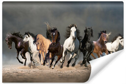 Muralo Fototapeta Galopujące Konie Na Pustyni 3D 208x146cm