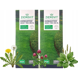 Chwastox Nowy Trio 390SL chwasty w trawniku mniszek
